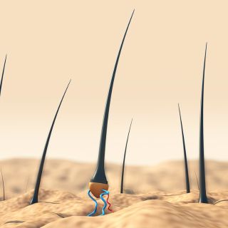 Idratazione e nutrimento